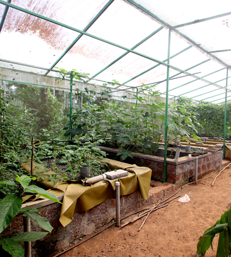 Aquaponics