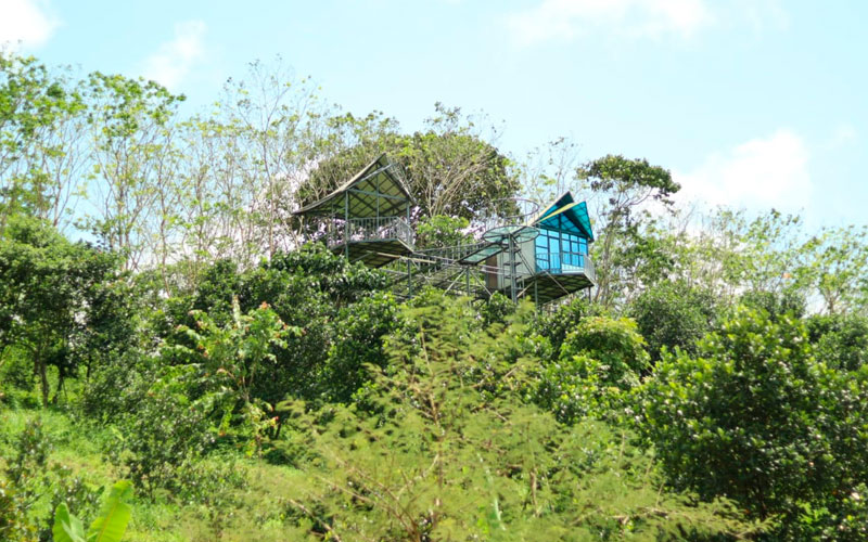 Termite Mound Cottage